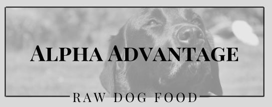 Alpha raw 2024 dog food